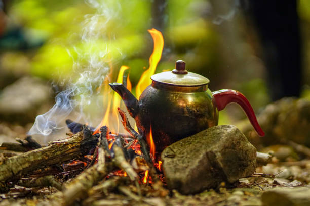 istock Making tea in the teapot in flames above the campfire 1189091321