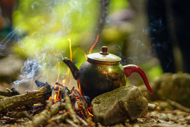istock Making tea in the teapot in flames above the campfire 1189091323