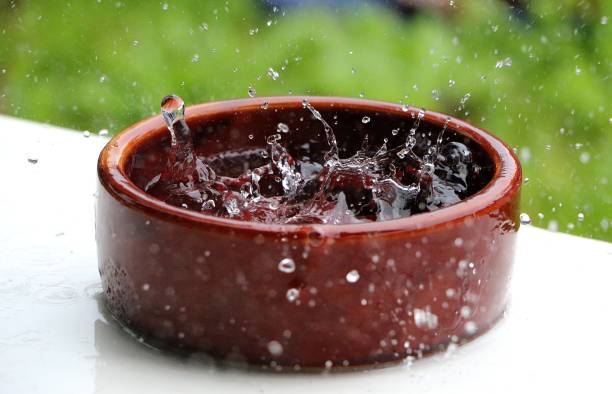istock Heavy rain falls In a ceramic bowl filled with water 1189093684