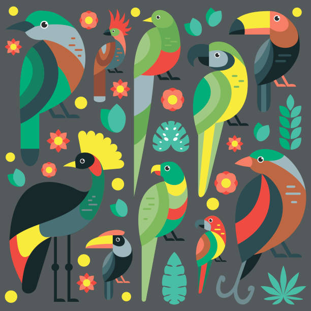 ÐÑÐ½Ð¾Ð²Ð½ÑÐµ RGB Flat style illustration with Toucan, Blue and Yellow Macaw, Bird of Paradise and other types of birds. Vector set of Tropical birds with flowers and leaves. hoatzin stock illustrations