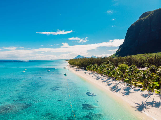 spiaggia di lusso con montagna a mauritius. spiaggia sabbiosa con palme e oceano blu. veduta aerea - travel luxury aerial view beach foto e immagini stock