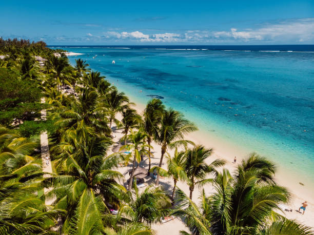 istock Luxury beach in Mauritius. Sandy beach with palms and blue ocean. Aerial view 1189096681