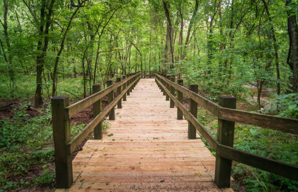 boardwalk на джорджа вашингтона карвер национальный памятник - birthplace стоковые фото и изображения