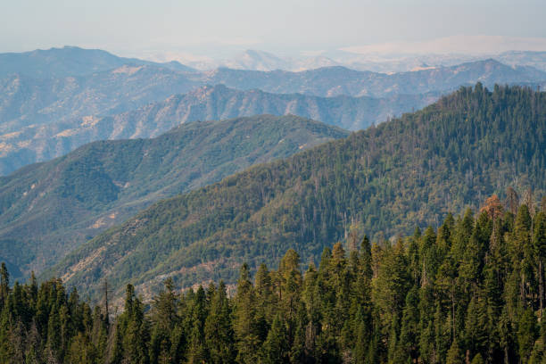 istock Forest Fire Smoke over Giant Sequoia National Monument 1189096787