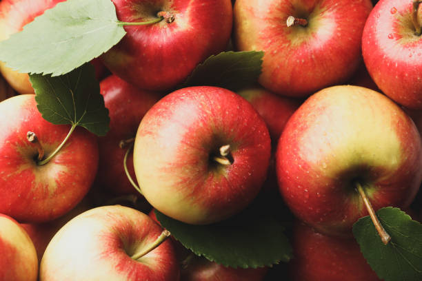 istock Sweet red apples on whole background, close up 1189097188