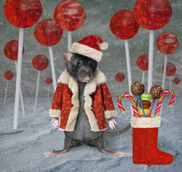 istock Rat in the lollipops forest 2 1189097506