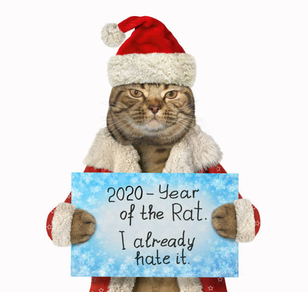 Cat in red hat hating year of rat 2
