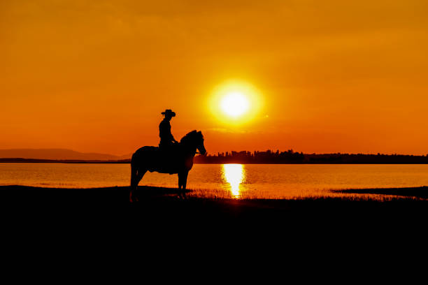 silhouette cowboy on horseback during nice sunset landscape background