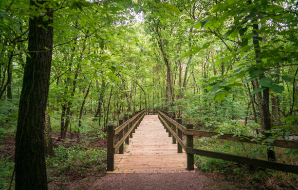 istock Boardwalk at George Washington Carver National Monument 1189105999