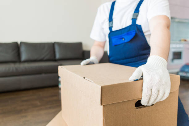 istock Delivery man loading cardboard boxes for moving to an apartment. professional worker of transportation, male loaders in overalls 1189106282