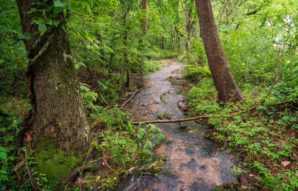 istock River at George Washington Carver National Monument 1189107679
