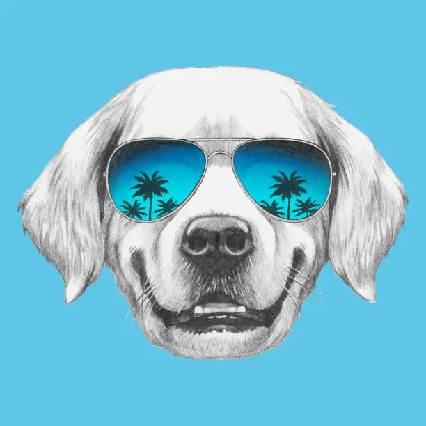 Vector illustration of Portrait of Golden Retriever with sunglasses. Hand-drawn illustration. Vector isolated elements.