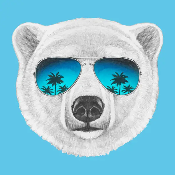 Vector illustration of Portrait of Polar Bear with sunglasses. Hand-drawn illustration. Vector isolated elements.