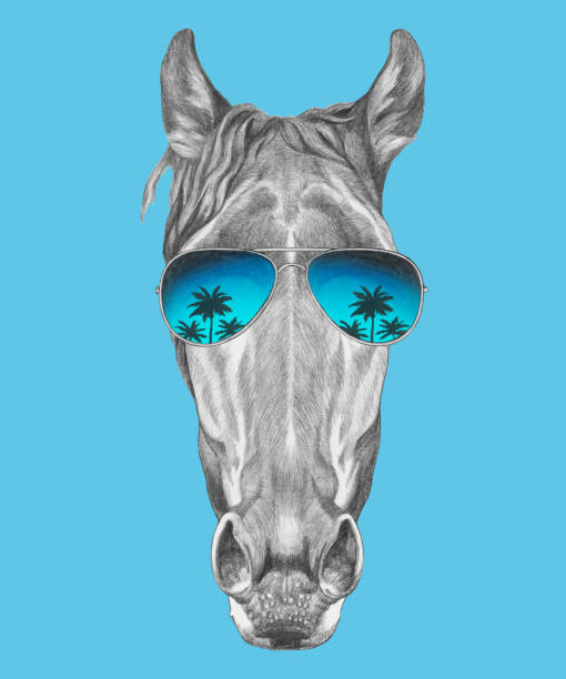 Portrait of Horse with sunglasses. Hand-drawn illustration. Vector isolated elements. Vector isolated elements. mirror object drawings stock illustrations