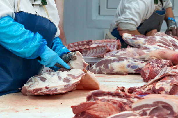 les bouchers coupent du porc dans l'usine de viande. - slaughterhouse photos et images de collection