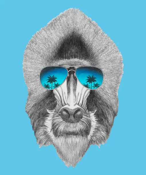 Vector illustration of Portrait of Mandrill with sunglasses. Hand-drawn illustration. Vector isolated elements.