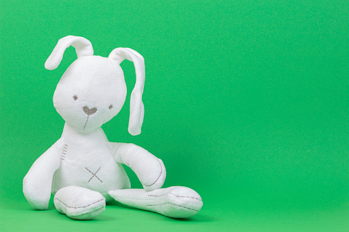 White plush toy rabbit on light green background.
