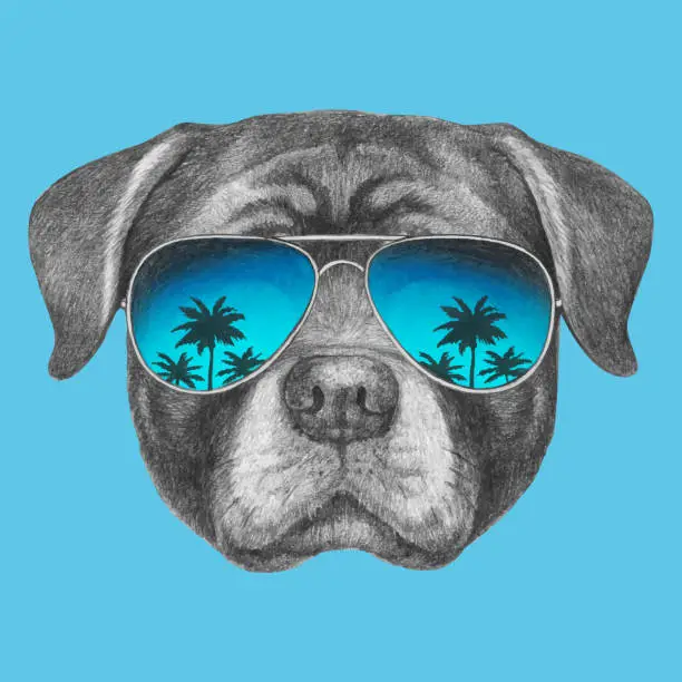 Vector illustration of Portrait of Rottweiler with sunglasses. Hand-drawn illustration. Vector isolated elements.