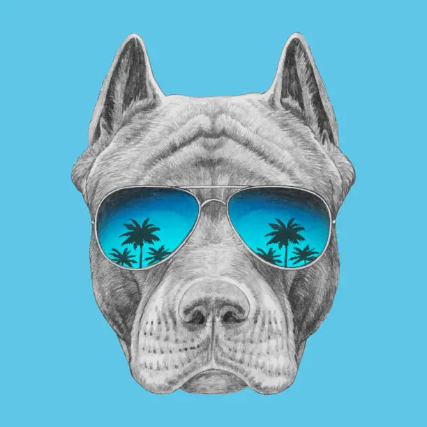 Vector illustration of Portrait of Pit Bull with sunglasses. Hand-drawn illustration. Vector isolated elements.