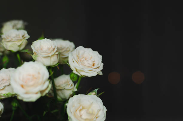 istock Nice bouquet on a dark background. Elegant composition of roses. 1189114612