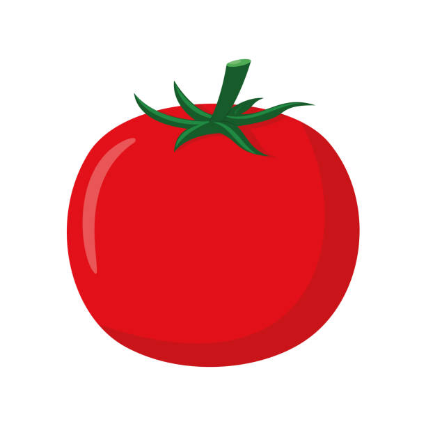 만화 스타일의 재미있는 토마토의 벡터 그림. - tomato stock illustrations