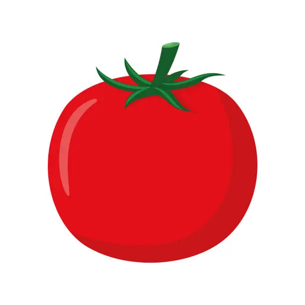 Vector illustration of Vector illustration of a funny tomato in cartoon style.
