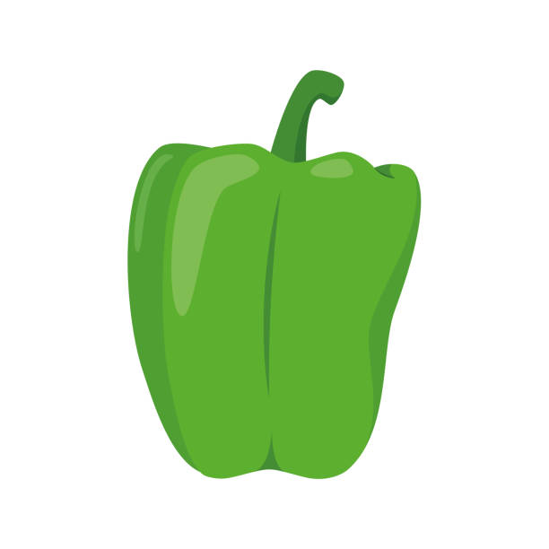 Vector illustration of a funny green pepper in cartoon style. Vector illustration of a funny green pepper in cartoon style. green bell pepper stock illustrations