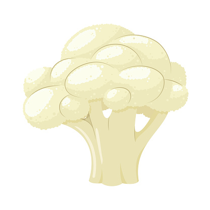 Vektor Illustration Av En Rolig Blomkål I Tecknad Stil-vektorgrafik och ...