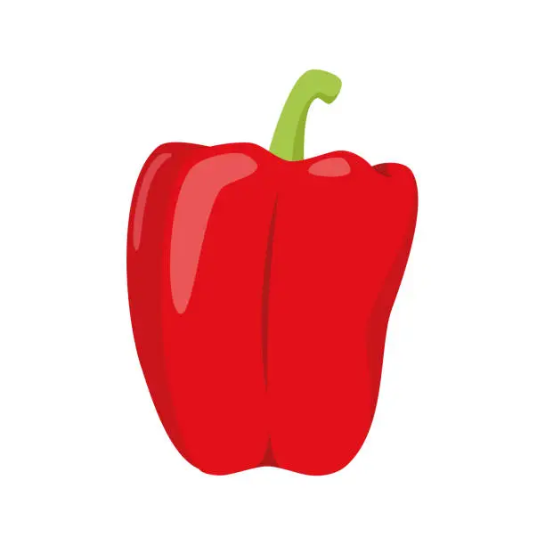 Vector illustration of Vector illustration of a funny red pepper in cartoon style.