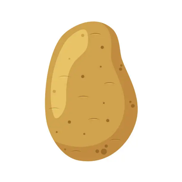 Vector illustration of Vector illustration of a funny potato in cartoon style.