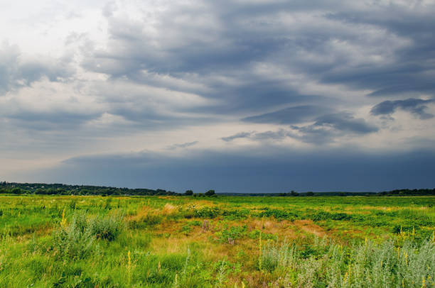 istock Dark rain storm clouds over the field 1189118039