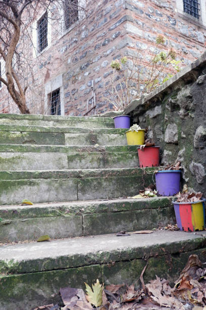 mossy pisa. - staircase steps istanbul turkey - fotografias e filmes do acervo