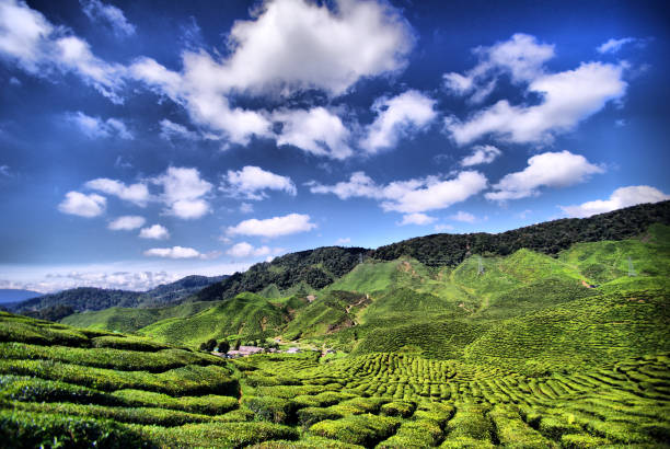 istock Incredibly beautiful green hills in the mountains 1189119169