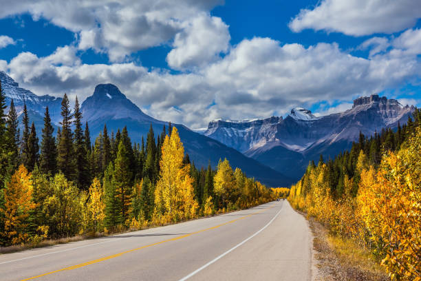 istock Yellow leaves adorn the landscape 1189119184