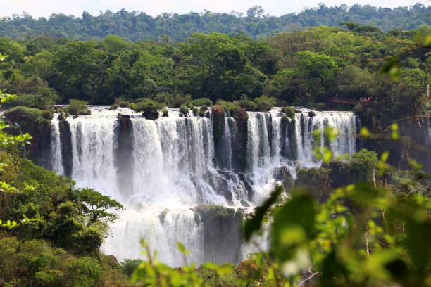 водопад игуасу - национальный парк игуазе, парана, бразилия, аргентина - iguazú стоковые фото и изображения