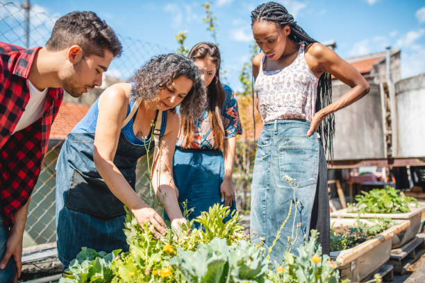 istock Mature Roof Gardener Working with Young Community Members 1189121079