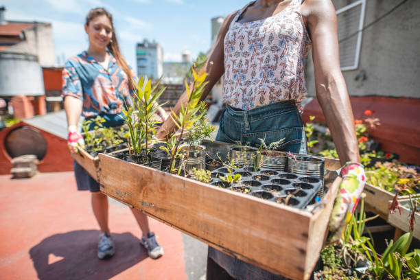 istock Gardeners Holding Crates with Seed Starters and Young Plants 1189121176
