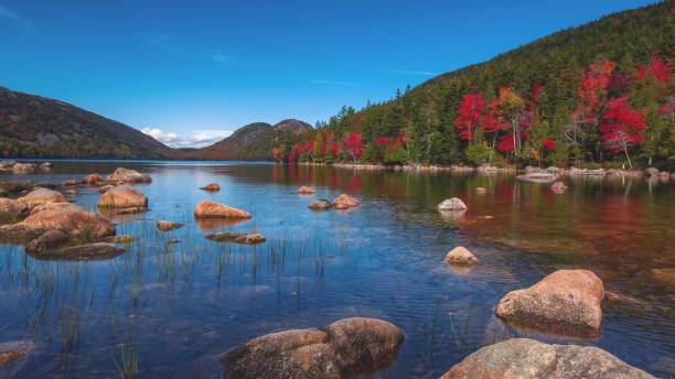 istock Lonely stones on the surface of a mirror lake 1189122124