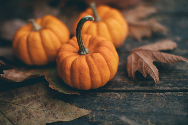 istock Small pumpkins and leaves on wood tabletop 1189122494