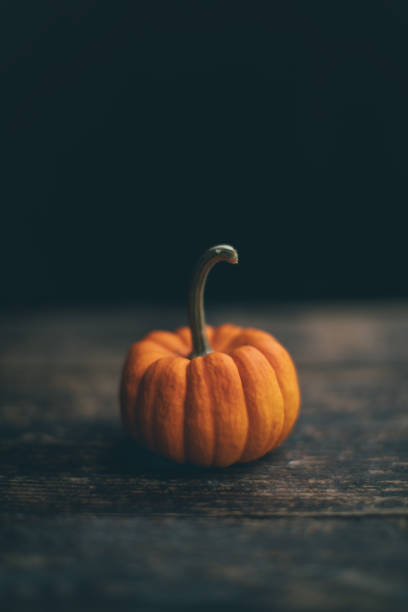 istock Small pumpkin on wood tabletop 1189122558