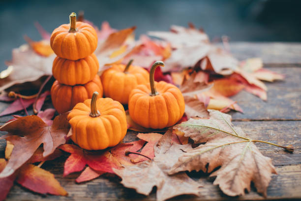 istock Small pumpkins and leaves on wood tabletop 1189123275