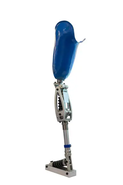 Photo of Isolated Prosthetic Leg and Foot