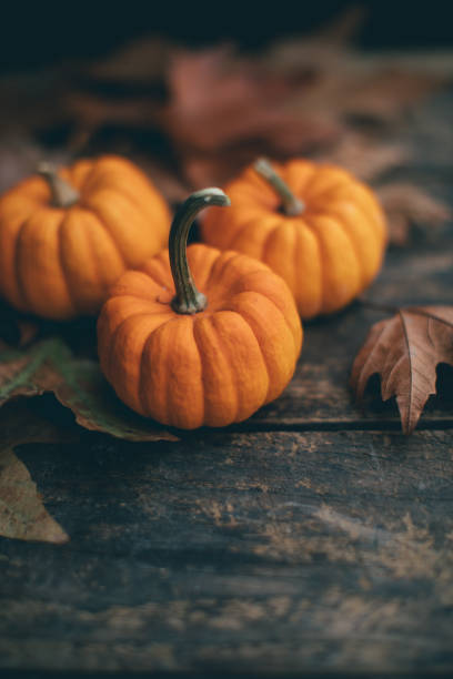 istock Small pumpkins and leaves on wood tabletop 1189123717