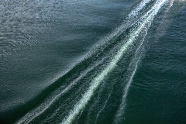 view of the trail on the water from the boat