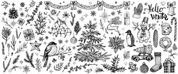 Winter hand drawn sketches. Vector vintage Christmas plants and symbols. Winter hand drawn sketches. Vector vintage Christmas plants and symbols. Big collection of line illustrations on seasonal theme, such as Christmas tree, deer, gifts, wreath, snowman, mistletoe, sock. candle illustrations stock illustrations