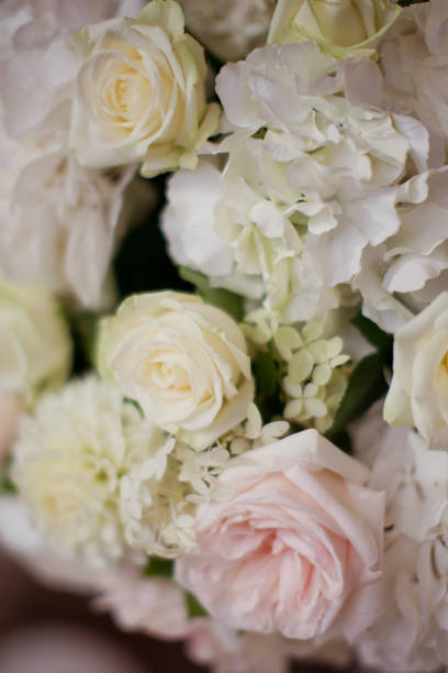 istock beautiful flower composition with white and pink flowers 1189129210