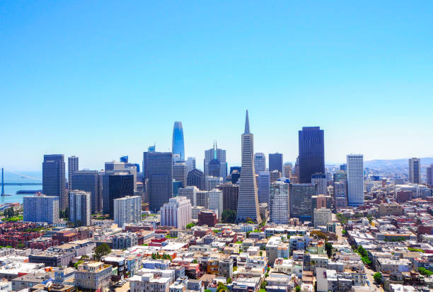 vista na skyline de san francisco da torre de coit - tower coit tower san francisco bay area san francisco county - fotografias e filmes do acervo