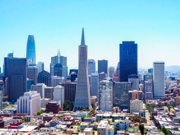 vue sur san francisco skyline de coit tower - tower coit tower san francisco bay area san francisco county photos et images de collection