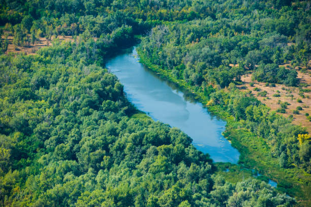 istock Aerial view of forest during 1189130746