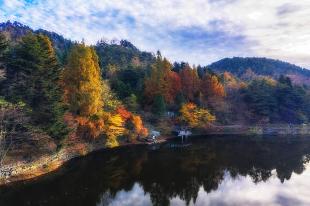 istock Autumn maple leaves in Lushan 1189133879